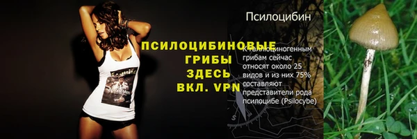 apvp Корсаков